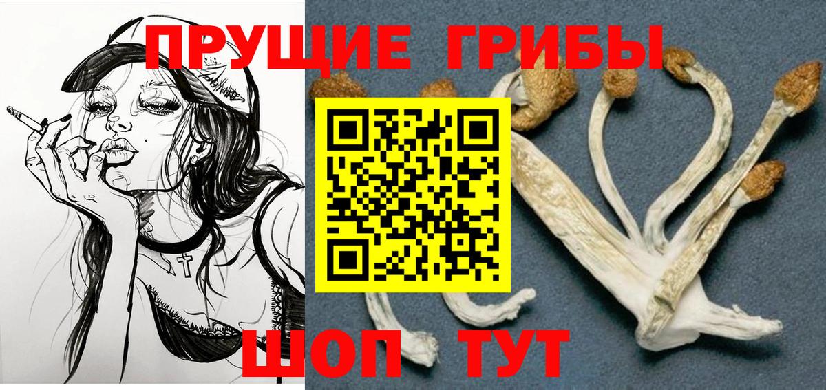 Галлюциногенные грибы ЛСД Назрань